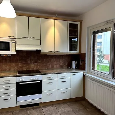 Reindeer's Luxury 公寓 罗瓦涅米