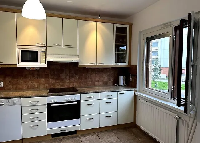 Reindeer's Luxury 公寓 罗瓦涅米